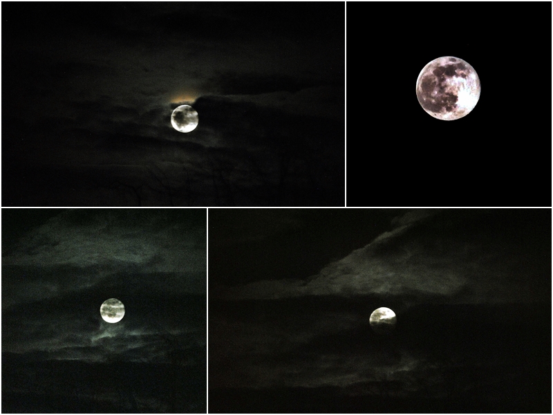 Pełnia Robaczego Księżyca. Fot. Joanna Smolak